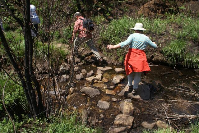 Aufstieg zu den originalen Felsbildern in den Drakensbergen, Bachüberquerung