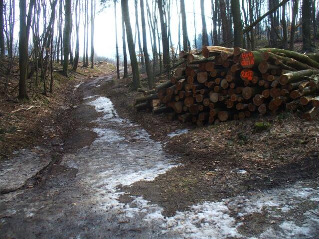 Dieser Weg führt zur Bantorfer Höhe