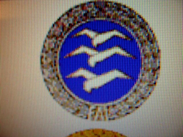 Silber C - Abzeichen ( international )