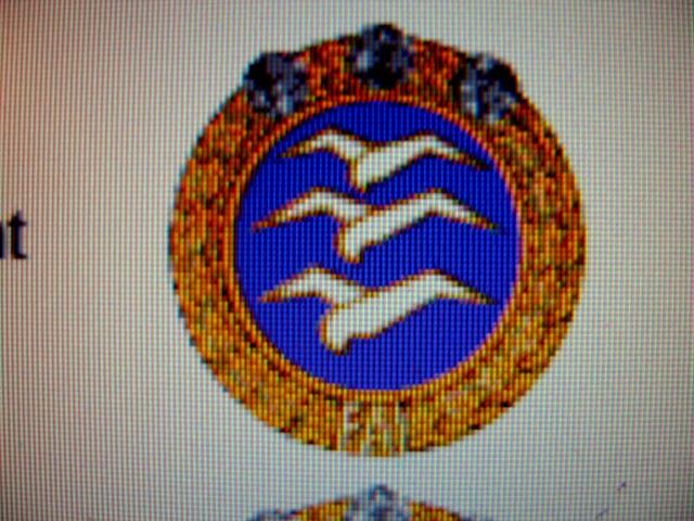Gold C mit 3 Diamanten ( international )