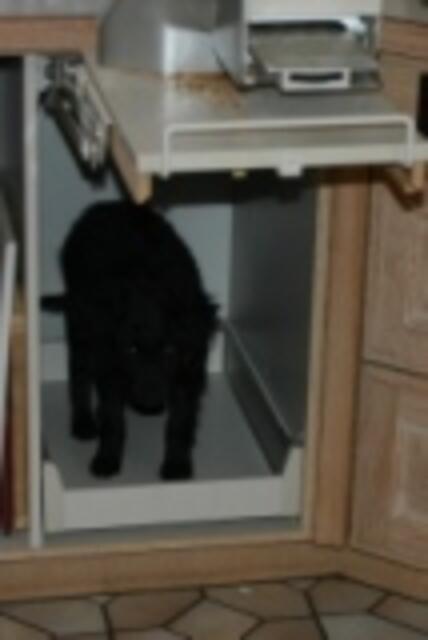 (Anmerkung der Redaktion…. „das glaubst nur du… Frechdachs“