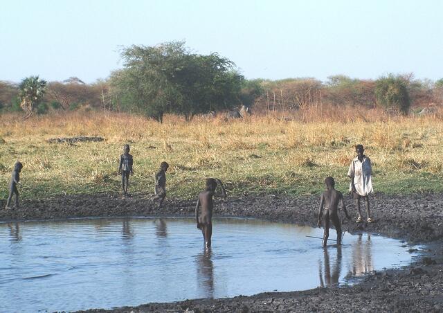 Auf der Suche nach Fischen