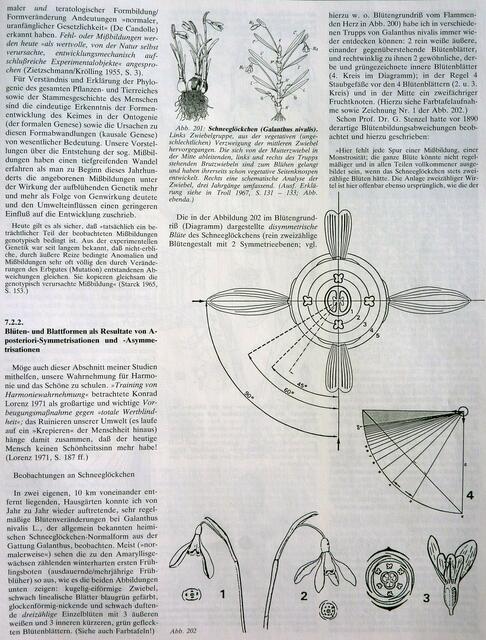 SYMMETRIE-Buch W.H. - Seite 77, Kapitel 7.2.2. Abb. 201-202.