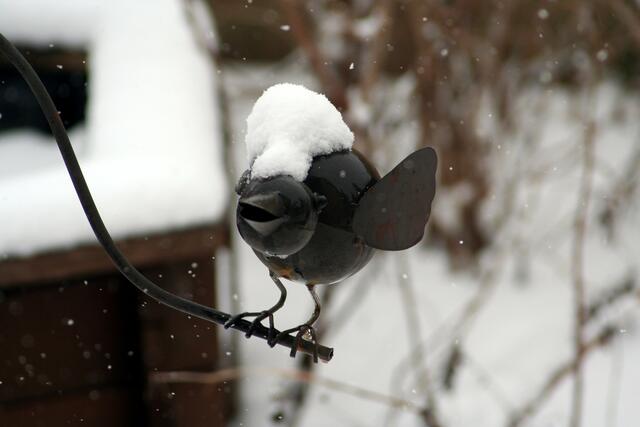 die Mütze gefällt mir gar nicht mehr ........