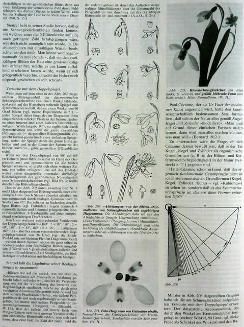 Seite 78 - Symmetriewerk W.H. 1989, Abb. 203-206.
