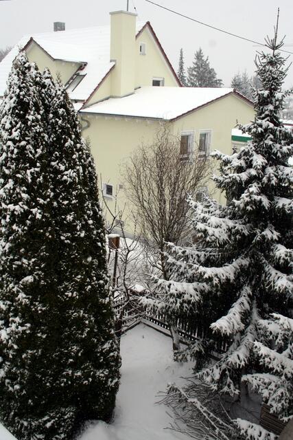 unser Garten schläft noch immer