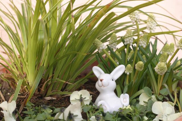 …den Duft der ersten Blüten, auch wenn's von unten nachts so kalt wird!