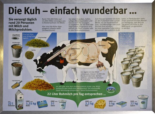 kleiner "Produktionsablauf" - bei Ziege und Schaf sicher ähnlich