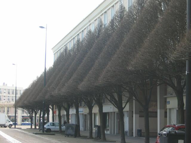 exakte Linienführung