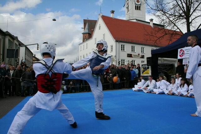 Taekwondo Vollkontakt, Niclas und Stephen
