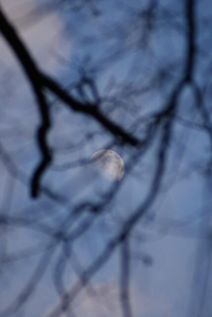 ...der Mond kommt raus...