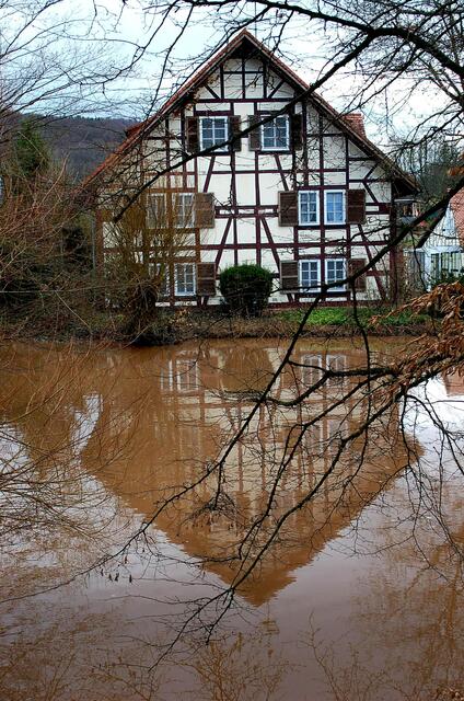 Spieglein, Spieglein auf dem Teich, kommt bald die Sonne, sag' es mir gleich!