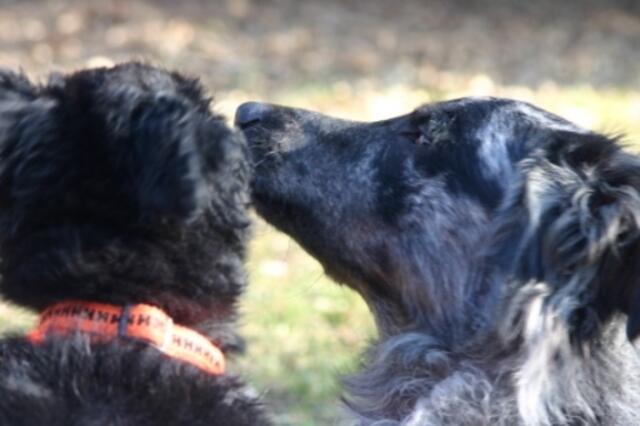 UNTERHALTUNG MIT MAMA