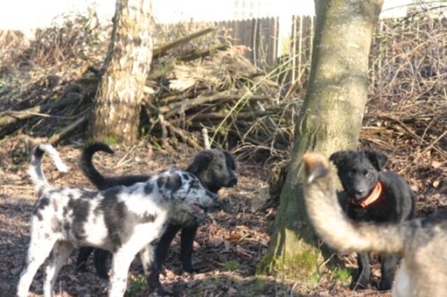 DER GARTEN IST EINE WUCHT !