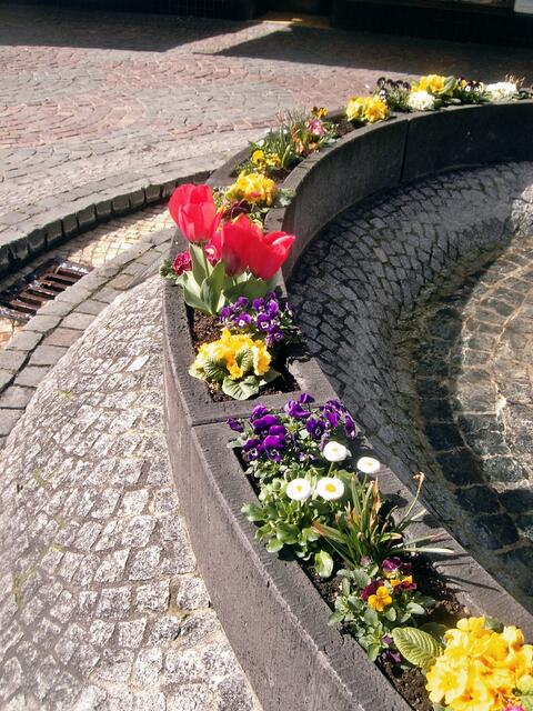 Überall ist die Stadt mit Frühlingsblumen bepflanzt und in den Brunnen und den Bächlein plätschert wieder lustig das Wasser.