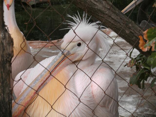 Er hat'ne coole Frisur