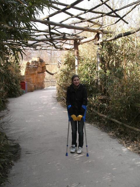 Idyllische Laubengänge
