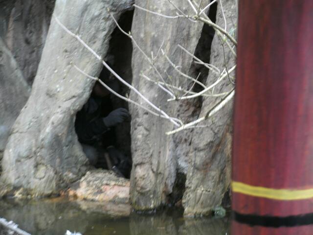 Hier verbirgt sich auch eine seltene Spezie, vielleicht hat jemand eine Ahnung wer das sein könnte.