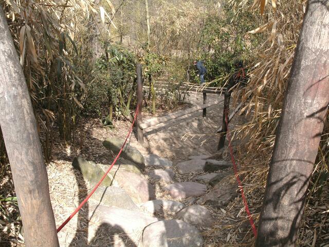 Urwaldspaziergang für die Kleinsten