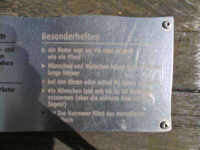 Ein Mann, 20 Frauen und die stärkste Frau hat das Sagen. Aber ich weiß nicht mehr wie das Tier hieß.