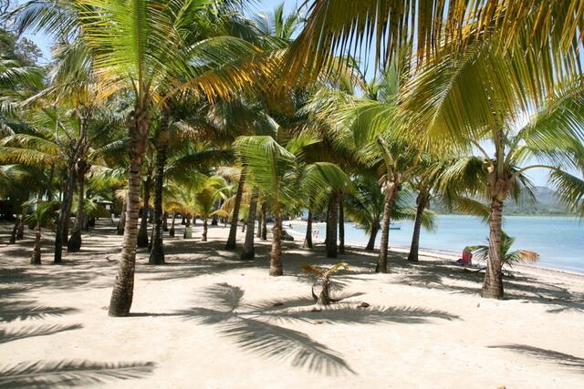Strand mit Palmen in der Bucht von Maimon