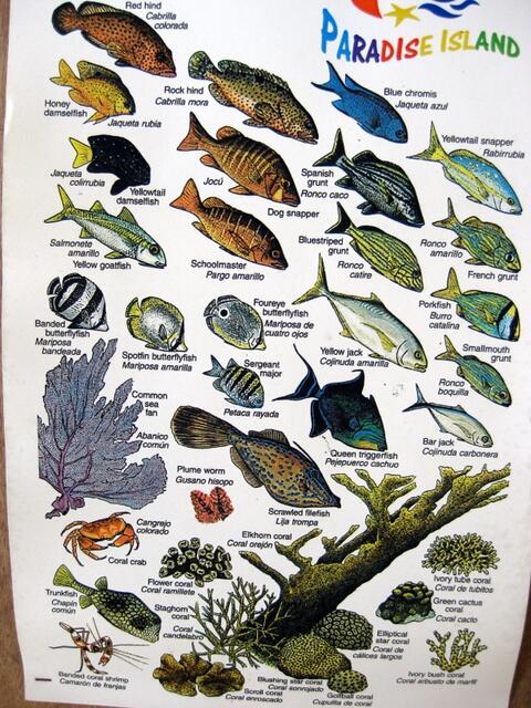 Fischvorkommen