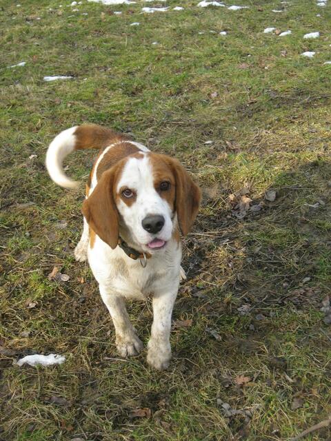 Charles