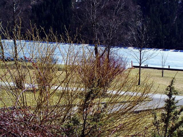weil du von der Natur hier was hast.