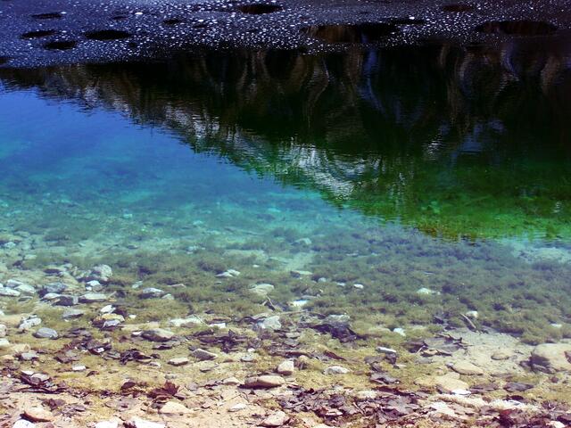 Das Wasser, das Auge sieht es bunt