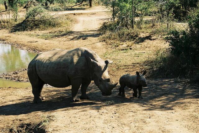 Halb-Familie | Foto: Flickr-Bild von Manogamo