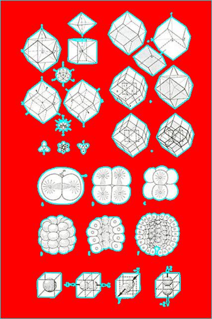 Lehrtafel EST. W.H. 9/4/10.