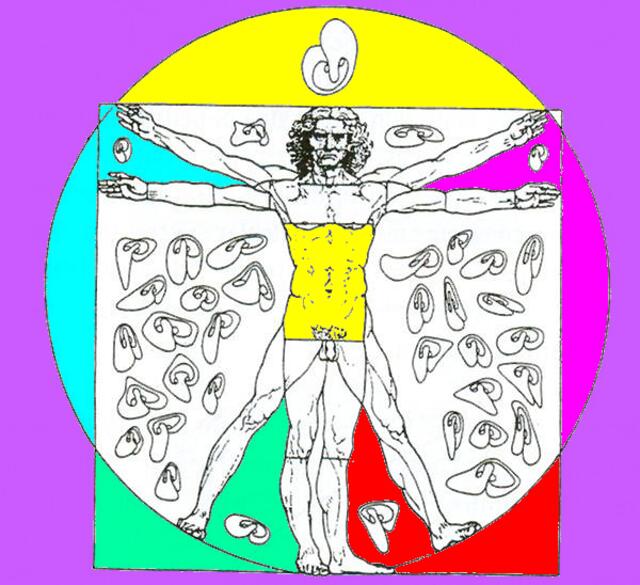 LEONARDO-Mann und ars evolutoria.L. 1492 in Anlehnung an Vitruv - Kreis u. Quadrat als Symbole des Weltalls. SB Fig. 622. Color-Mutante 9/4/10.