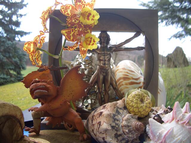 LEONARDO - Isenheimer Ungeheuer - Orchidee - Nautilus - Pyritkristall (...) - Installation zur ETOE (13/4/10).