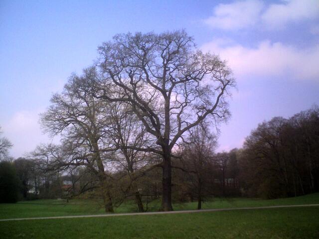 Marienwerder - von Hinüberscher Park