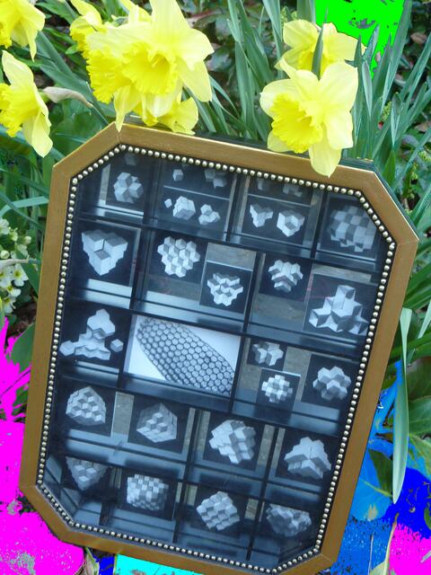 ETOE grüßt die Bienen, Blumen und alle Verwandten! Auch SIE lieber User, liebe Userin. Performance auch für Gerard CARIS' Pentagonism. 14/4/10-Assemblage.