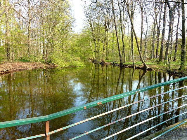 Es sieht fast so aus wie im Spreewald.