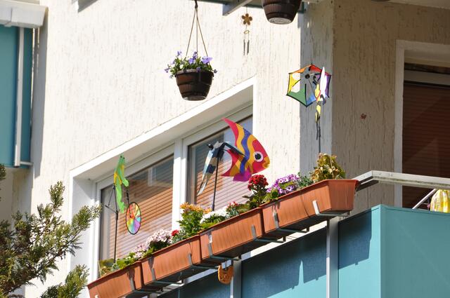 Ein Fisch auf dem Balkon, sonnt sich und genießt den Tag...