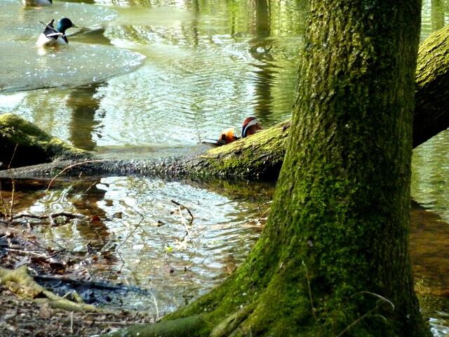 Abwechslungsreiche Wasserlandschaft