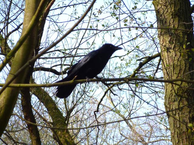 Auch sie hielt still.