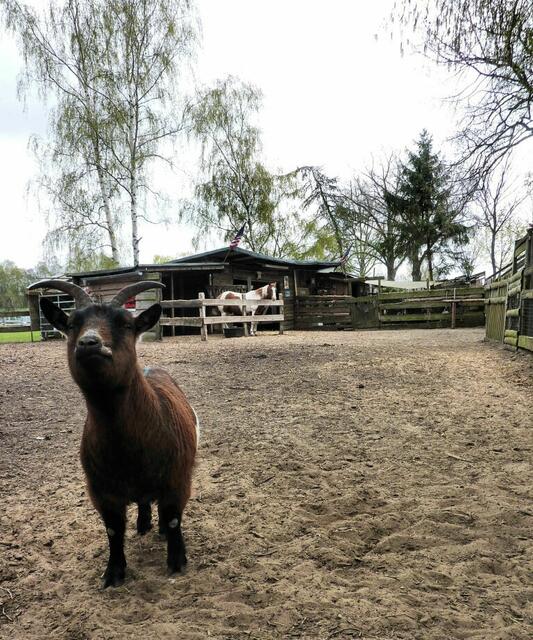 "Wer bist du denn?"