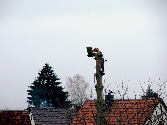 Stück für Stück...