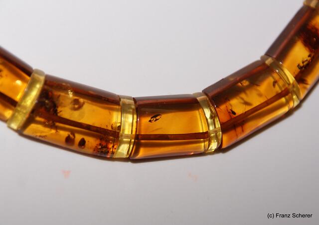 Jahrtausende in goldenem Einschluss