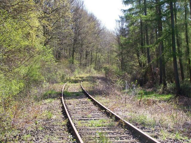 Die Vereinsmitglieder haben die Strecke freigemacht, aber die Natur arbeitet wieder daran ...