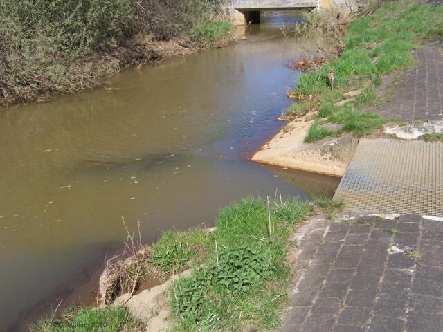 Nördlich Obershagen: Die Burgdorfer Aue spaltet sich in die Alte Aue (rechts ab) und die Neue Aue (geradeaus). Die Neue Aue ist künstlich angelegt und soll Hochwasser von der Stadt Celle fernhalten. Sie mündet bei Westercelle in den Fuhsekanal.
