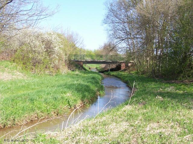 Die Alte Aue. Im Hintergrund quert die Straße Obershagen-Flatmoor den Fluss.