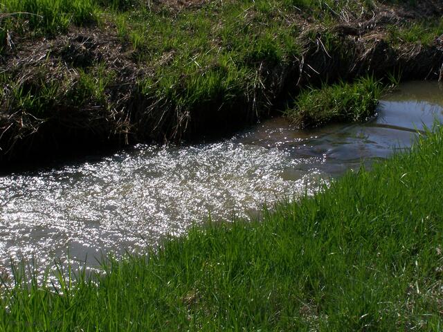 An der Alten Aue.
