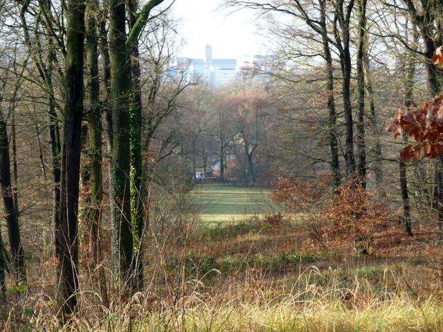 Sichtachse von der Luisenhöhe zum Landtagsgebäude in Potsdam