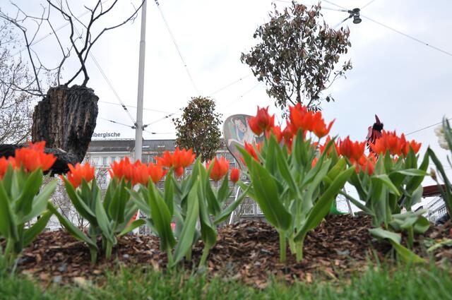 Frühling und Kunst