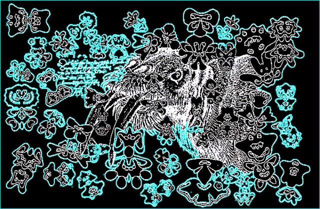 Dürer & ars evolutoria. Abb. 621 aus W.H.s Symmetriebuch. Mehr a.a.O. Kap. 12.4 mit Abb. 622.