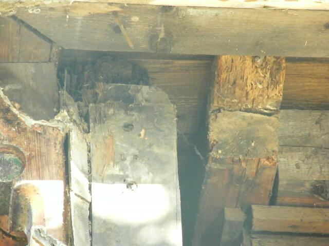 Hinter bunter Fassage verrottetes Holz